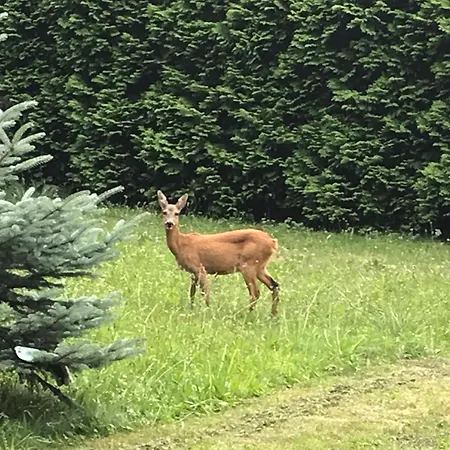 Chata Trojanovice Horská chata Trojanovice