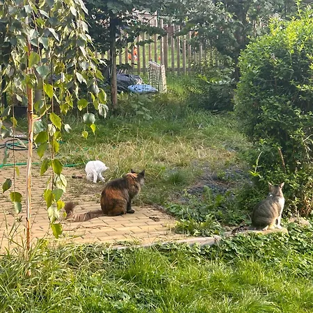 Chata Trojanovice Trojanovice