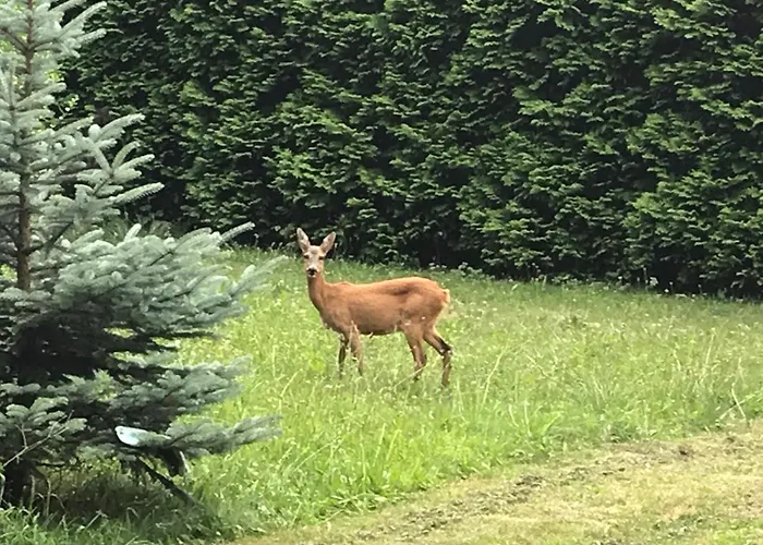 Chata Trojanovice Horská chata Trojanovice