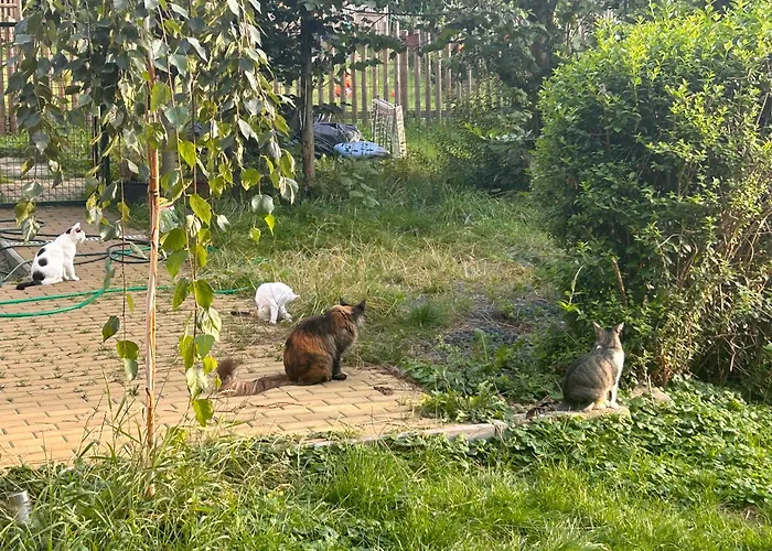 Chata Trojanovice Trojanovice